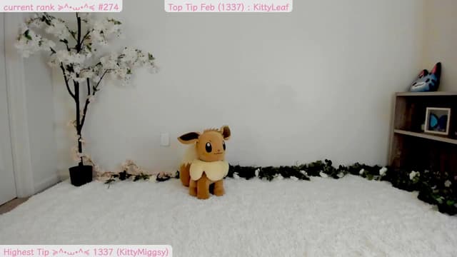 Gallery image thumbnail from Kitty's myfreecams stream on, 02/15/2025, 09:36 image 12 of 20