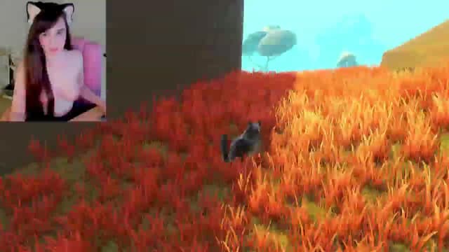 Gallery image thumbnail from Kitty's myfreecams stream on, 02/19/2025, 06:19 image 8 of 20