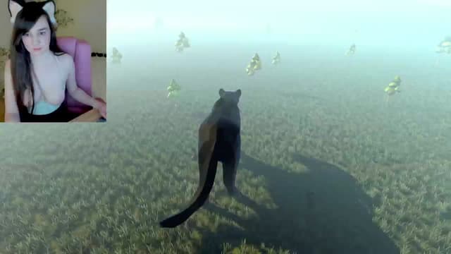 Gallery image thumbnail from Kitty's myfreecams stream on, 02/19/2025, 06:19 image 11 of 20