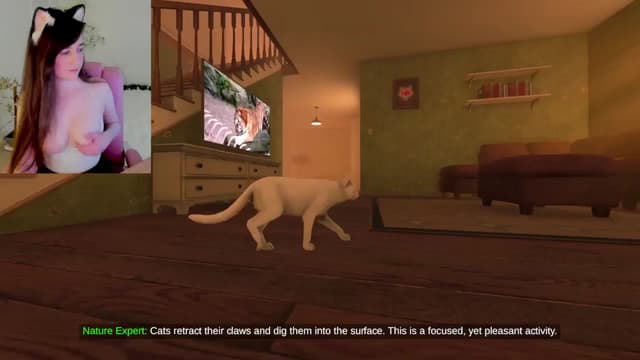 Gallery image thumbnail from Kitty's myfreecams stream on, 02/19/2025, 06:19 image 5 of 20