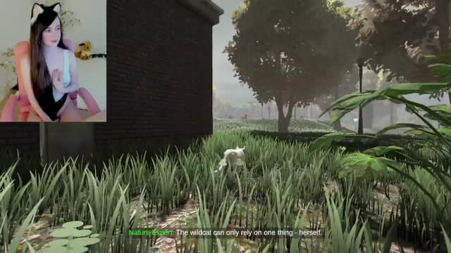 Gallery image thumbnail from Kitty's myfreecams stream on, 02/20/2025, 07:53 image 10 of 20