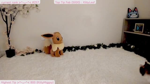 Gallery image thumbnail from Kitty's myfreecams stream on, 02/24/2025, 06:55 image 2 of 20