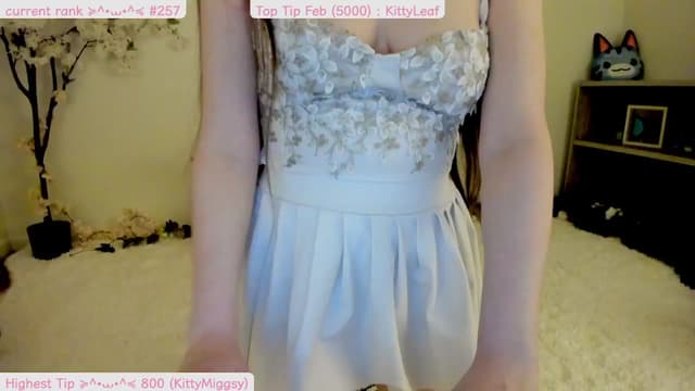 Gallery image thumbnail from Kitty's myfreecams stream on, 02/24/2025, 06:55 image 3 of 20