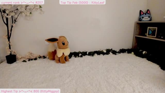 Gallery image thumbnail from Kitty's myfreecams stream on, 02/24/2025, 06:55 image 8 of 20