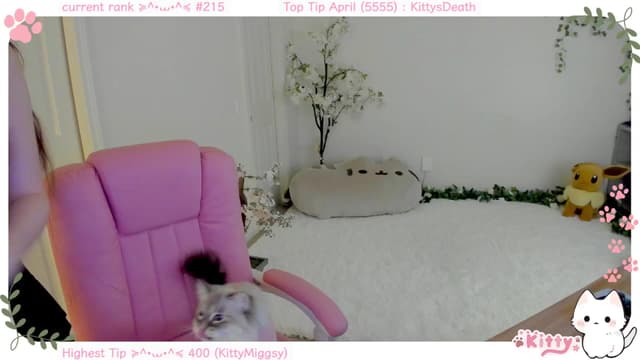 Gallery image thumbnail from Kitty's myfreecams stream on, 04/17/2025, 07:23 image 17 of 20