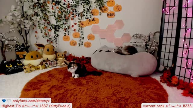 Gallery image thumbnail from Kitty's myfreecams stream on, 10/10/2025, 07:01 image 4 of 20