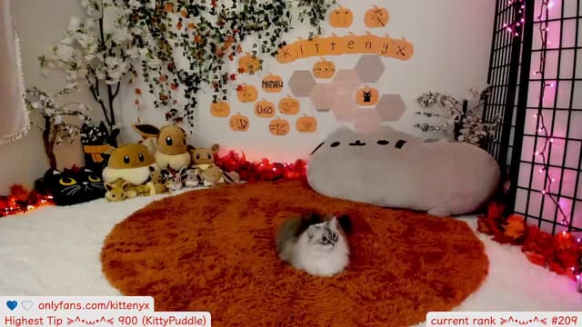 Gallery image thumbnail from Kitty's myfreecams stream on, 10/12/2025, 08:27 image 18 of 20