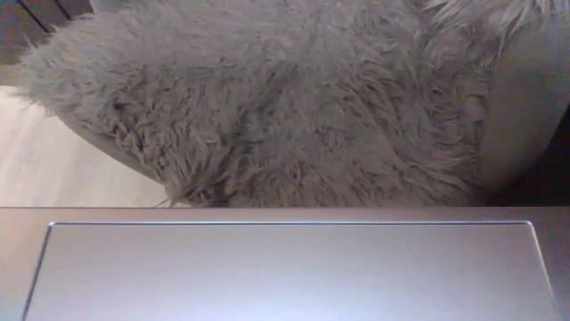 Gallery image thumbnail from Klo35's myfreecams stream on, 07/08/2023, 22:26 image 5 of 20