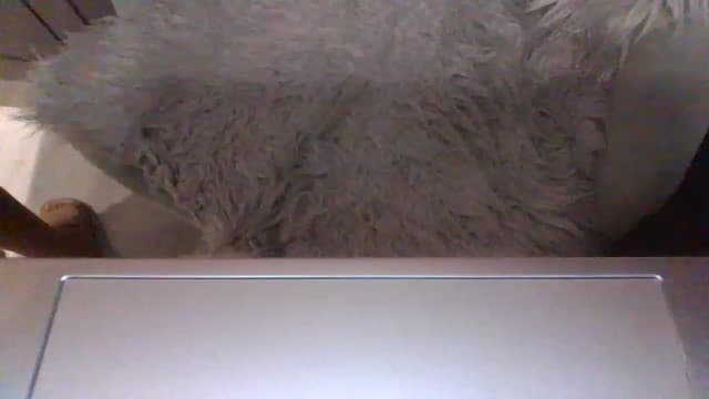 Gallery image thumbnail from Klo35's myfreecams stream on, 07/08/2023, 22:26 image 6 of 20