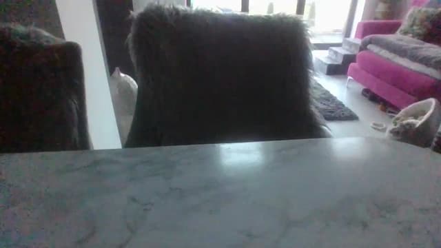 Gallery image thumbnail from Klo35's myfreecams stream on, 07/09/2023, 20:52 image 12 of 20