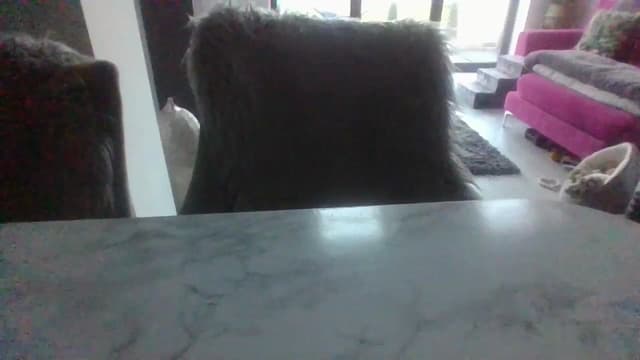 Gallery image thumbnail from Klo35's myfreecams stream on, 07/09/2023, 20:52 image 11 of 20
