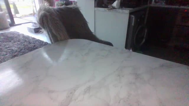 Gallery image thumbnail from Klo35's myfreecams stream on, 07/09/2023, 20:52 image 3 of 20