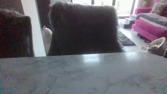 Gallery image thumbnail from Klo35's myfreecams stream on, 07/09/2023, 20:52 image 8 of 20