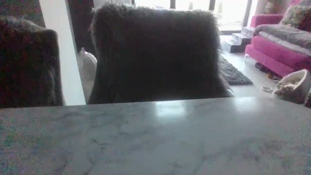 Gallery image thumbnail from Klo35's myfreecams stream on, 07/09/2023, 20:52 image 9 of 20