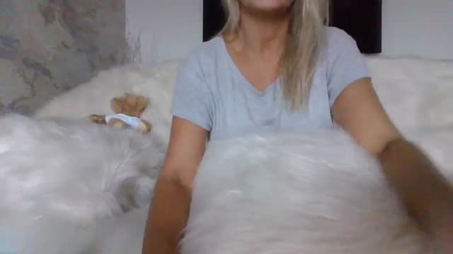 Gallery image thumbnail from Klo35's myfreecams stream on, 07/23/2023, 06:53 image 10 of 20