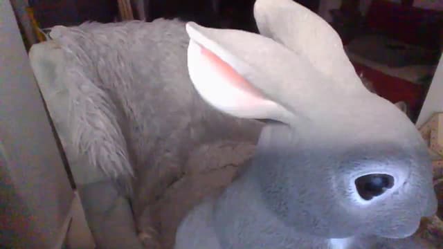 Gallery image thumbnail from Klo35's myfreecams stream on, 08/02/2023, 22:17 image 19 of 20