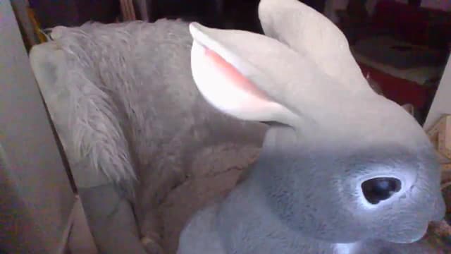 Gallery image thumbnail from Klo35's myfreecams stream on, 08/02/2023, 22:17 image 20 of 20
