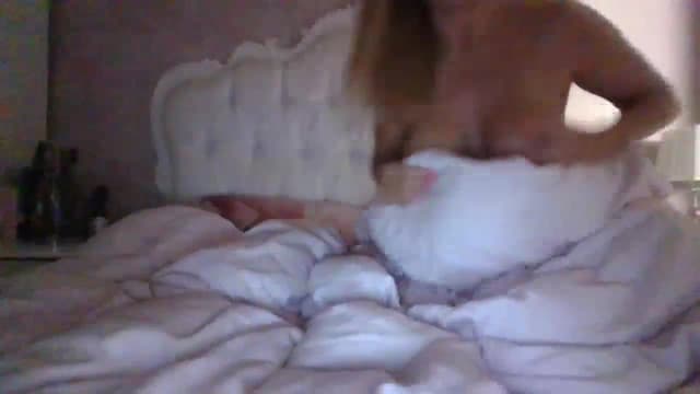 Gallery image thumbnail from Klo35's myfreecams stream on, 08/17/2023, 08:35 image 15 of 20