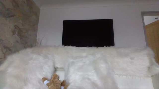 Gallery image thumbnail from Klo35's myfreecams stream on, 08/23/2023, 14:47 image 16 of 20