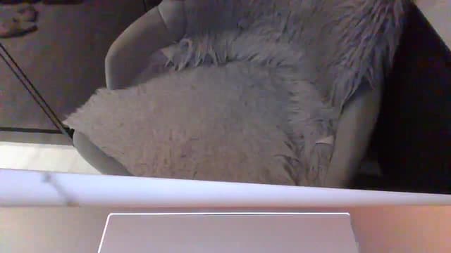 Gallery image thumbnail from Klo35's myfreecams stream on, 02/16/2025, 22:39 image 11 of 20