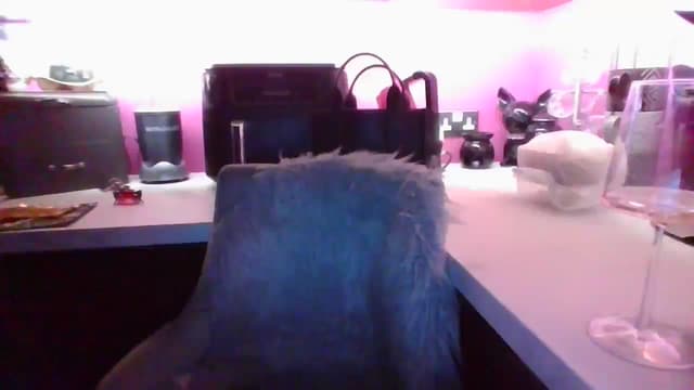 Gallery image thumbnail from Klo35's myfreecams stream on, 02/16/2025, 22:39 image 10 of 20