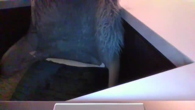 Gallery image thumbnail from Klo35's myfreecams stream on, 02/16/2025, 22:39 image 2 of 20