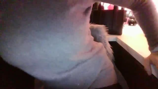Gallery image thumbnail from Klo35's myfreecams stream on, 02/16/2025, 22:39 image 3 of 20