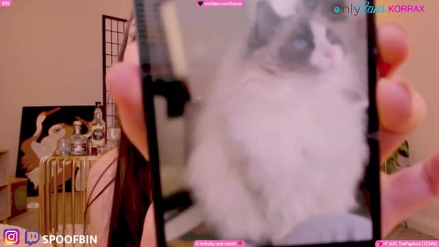 Gallery image thumbnail from Korra's myfreecams stream on, 08/16/2023, 11:50 image 6 of 20