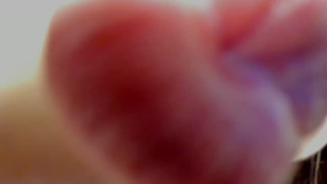 Gallery image thumbnail from LIRA_'s myfreecams stream on, 04/24/2023, 01:21 image 10 of 20