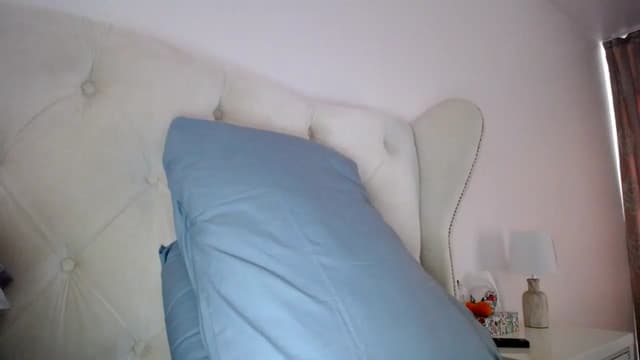 Gallery image thumbnail from L_A_U's myfreecams stream on, 12/12/2022, 09:16 image 19 of 20