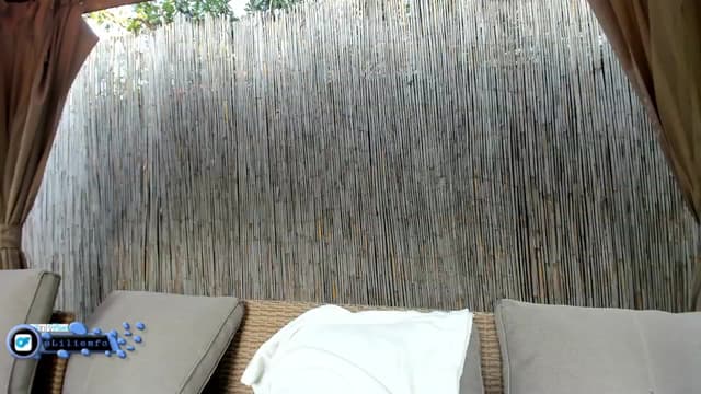 Gallery image thumbnail from Lilie's myfreecams stream on, 08/10/2025, 17:49 image 13 of 20