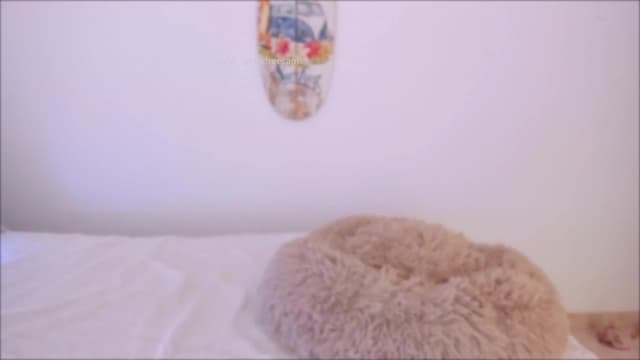 Gallery image thumbnail from LivM_'s myfreecams stream on, 06/20/2025, 08:21 image 3 of 20