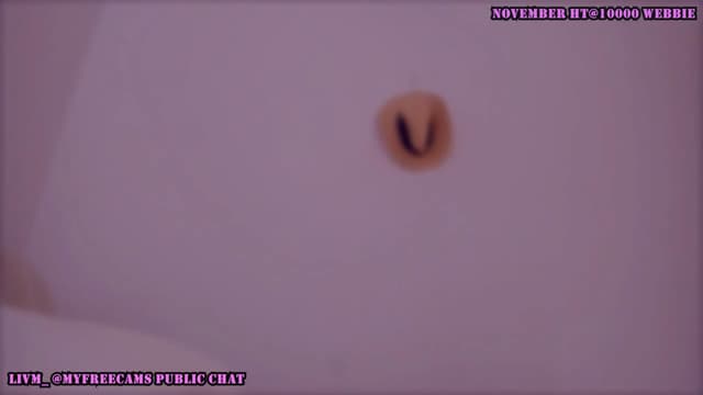 Gallery image thumbnail from LivM_'s myfreecams stream on, 11/08/2025, 10:00 image 17 of 20