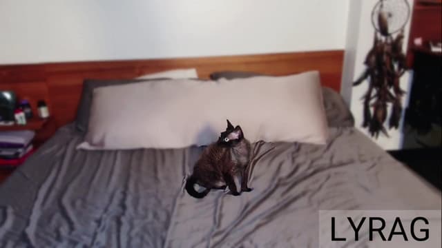 Gallery image thumbnail from LyraG's myfreecams stream on, 12/31/2024, 03:38 image 12 of 20