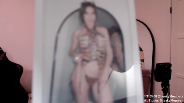 Gallery image thumbnail from Marie's myfreecams stream on, 10/17/2023, 05:19 image 16 of 20
