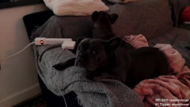 Gallery image thumbnail from Marie's myfreecams stream on, 11/14/2023, 01:12 image 1 of 20