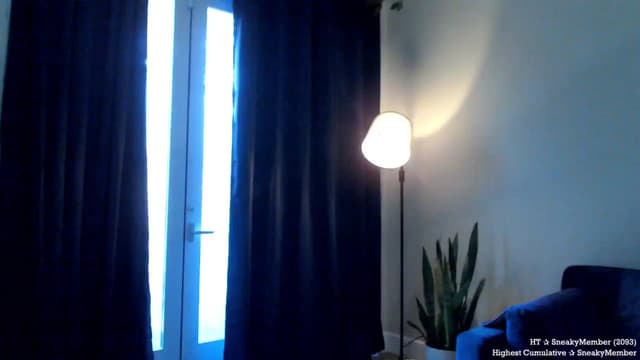 Gallery image thumbnail from Marie's myfreecams stream on, 11/08/2024, 24:05 image 19 of 20