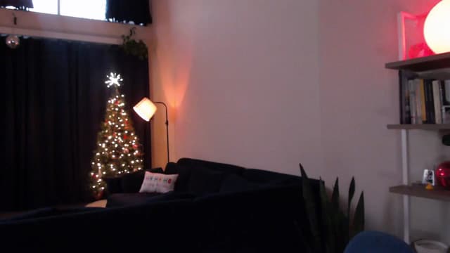 Gallery image thumbnail from Marie's myfreecams stream on, 12/05/2024, 01:20 image 14 of 20