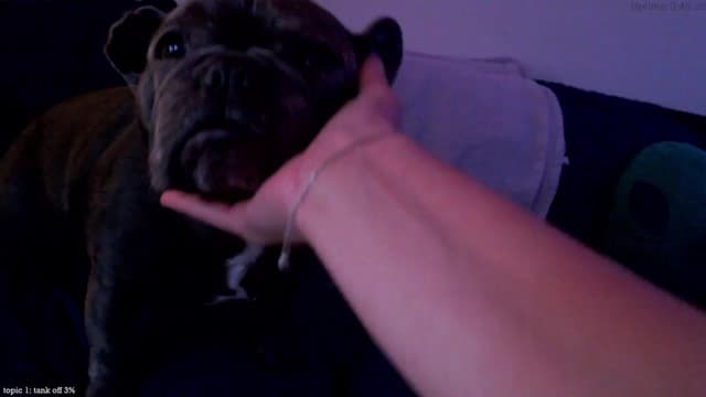 Gallery image thumbnail from Marie's myfreecams stream on, 12/27/2024, 04:29 image 9 of 20