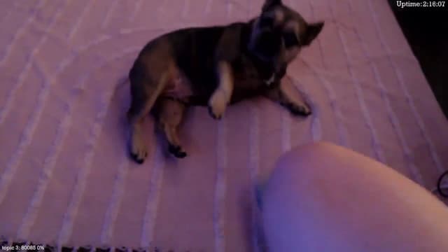 Gallery image thumbnail from Marie's myfreecams stream on, 01/22/2025, 03:46 image 12 of 20