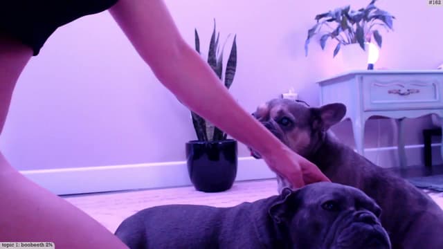 Gallery image thumbnail from Marie's myfreecams stream on, 06/27/2025, 04:51 image 4 of 20