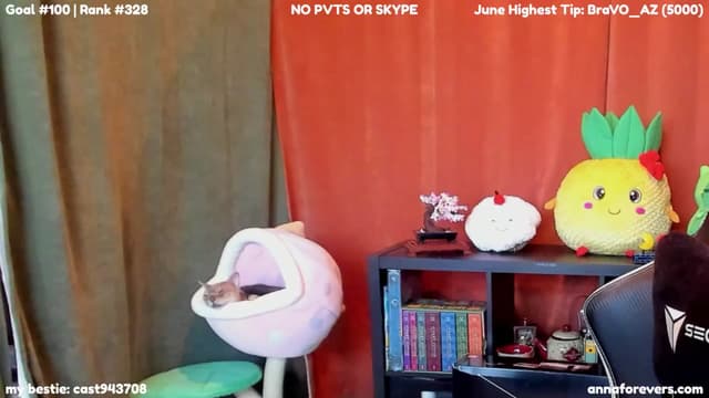 Gallery image thumbnail from Melon's myfreecams stream on, 06/09/2024, 01:53 image 15 of 20