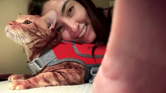 Gallery image thumbnail from Melon's myfreecams stream on, 12/03/2024, 02:30 image 13 of 20