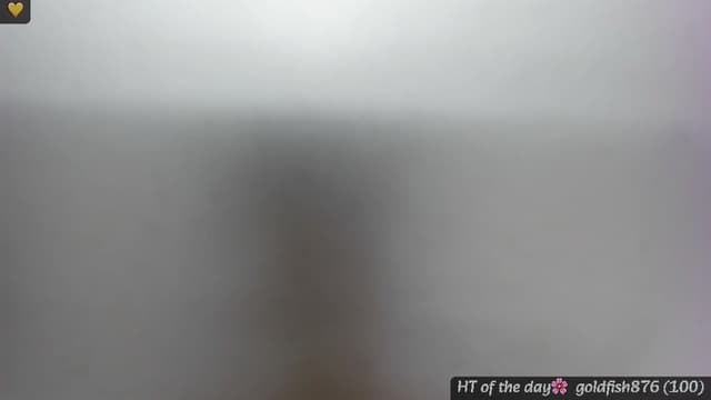 Gallery image thumbnail from Mi_Ha's myfreecams stream on, 05/21/2025, 16:38 image 1 of 20