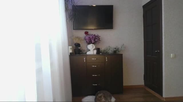 Gallery image thumbnail from Milaa's myfreecams stream on, 10/08/2024, 13:38 image 3 of 20