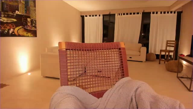 Gallery image thumbnail from Mochi's myfreecams stream on, 02/23/2023, 05:11 image 12 of 20