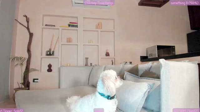 Gallery image thumbnail from Mochi's myfreecams stream on, 08/13/2023, 24:50 image 20 of 20
