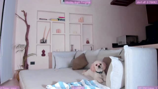 Gallery image thumbnail from Mochi's myfreecams stream on, 08/15/2023, 01:53 image 14 of 20