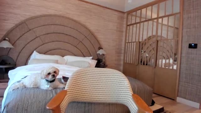 Gallery image thumbnail from Mochi's myfreecams stream on, 01/02/2024, 19:49 image 12 of 20