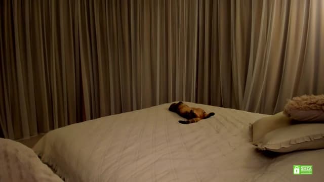 Gallery image thumbnail from Muse_'s myfreecams stream on, 06/16/2025, 20:22 image 14 of 20